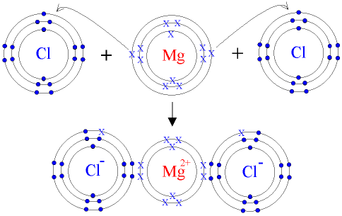 where does metal ion bonding occur in cells